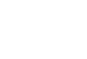 auriga nicola pitscheider maggipinto
