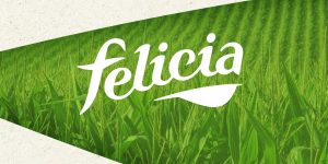 pasta gluten-free organic