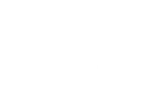 nicola pitscheider nick pitscheider branding