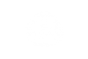 Globo nicola pitscheider nick pitscheider branding logo corporate design