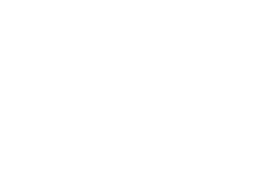 osey nicola pitscheider nick pitscheider maggipinto agency branding design