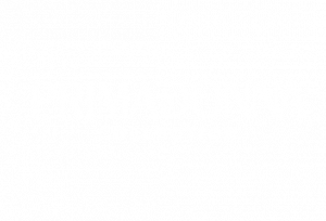 primadonna collection nick pitscheider