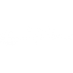 Nick Pitscheider Aziende Campobasso nicola pitscheider maggipinto