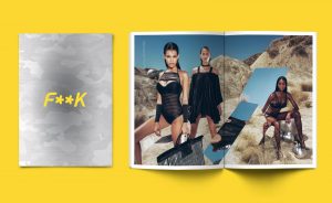 effek F**K rebranding brand brochure pitscheider maggipinto